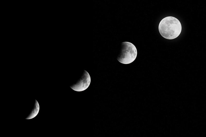 Enchanted Moonlit Party